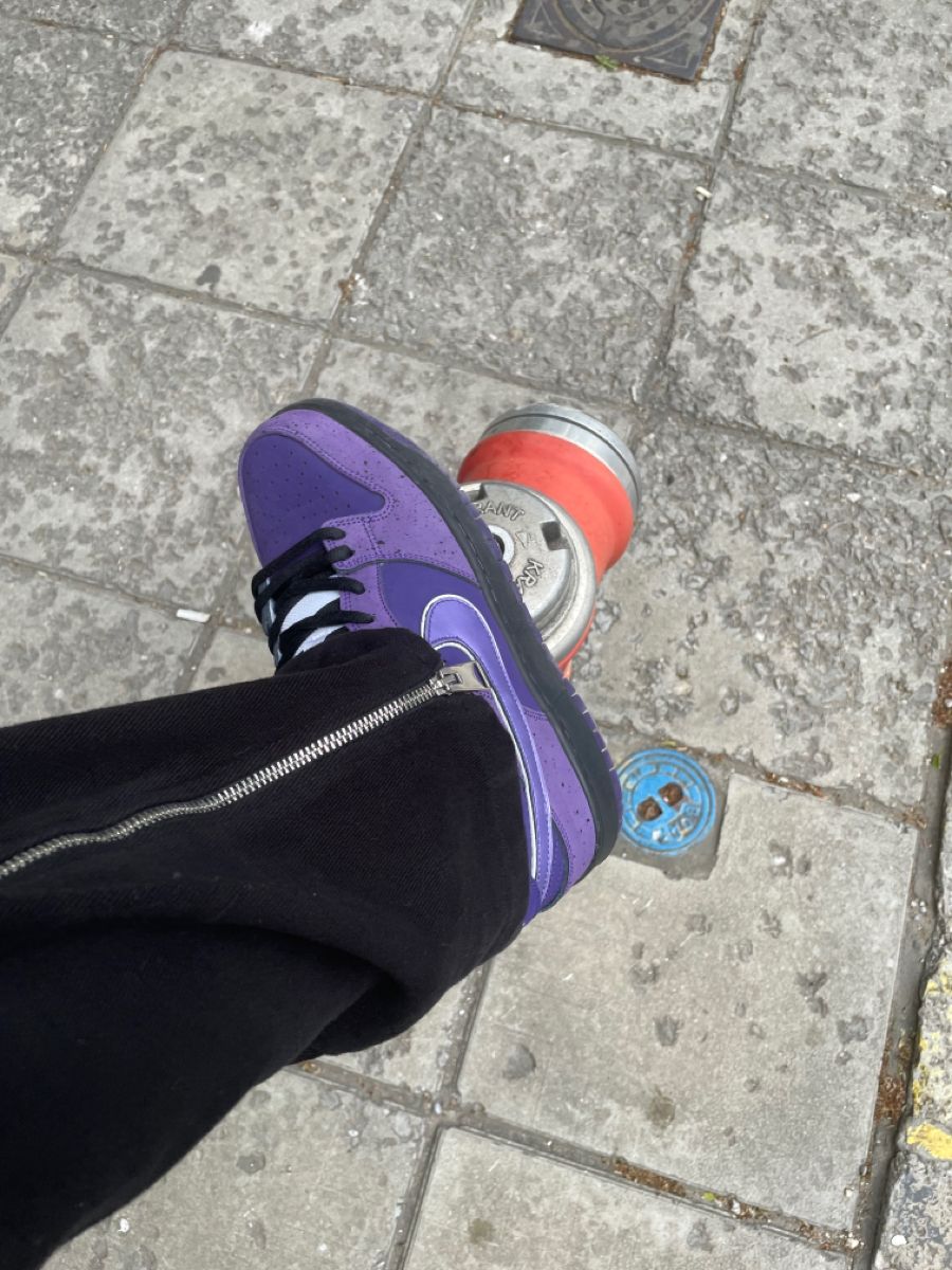  x Concepts SB Dunk Low ‘Purple Lobster’ photo review