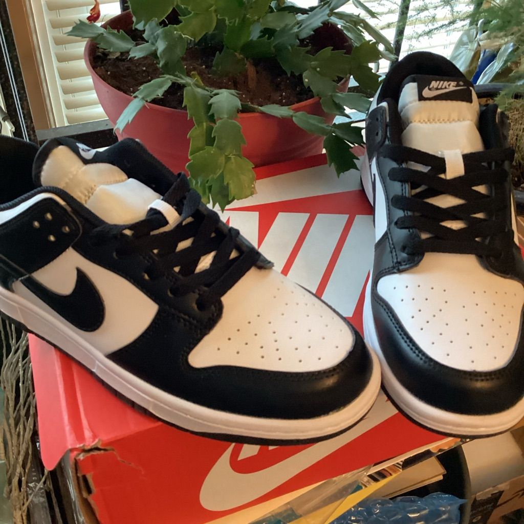  Dunk Low ‘Panda Black White’ photo review