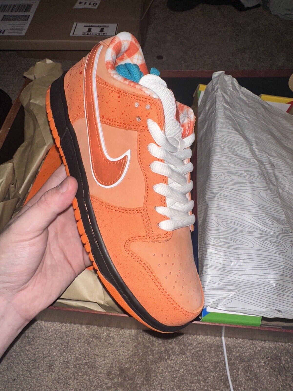  SB Dunk Low ‘Concepts Orange Lobster’ photo review